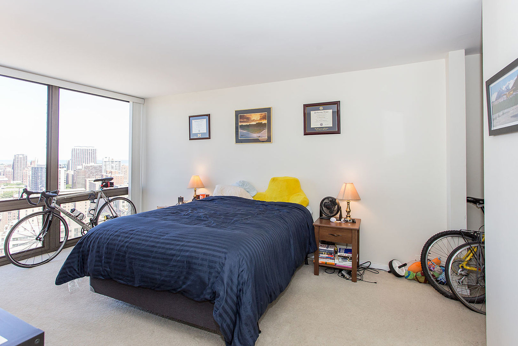 2650 N Lakeview Avenue - Photo 9