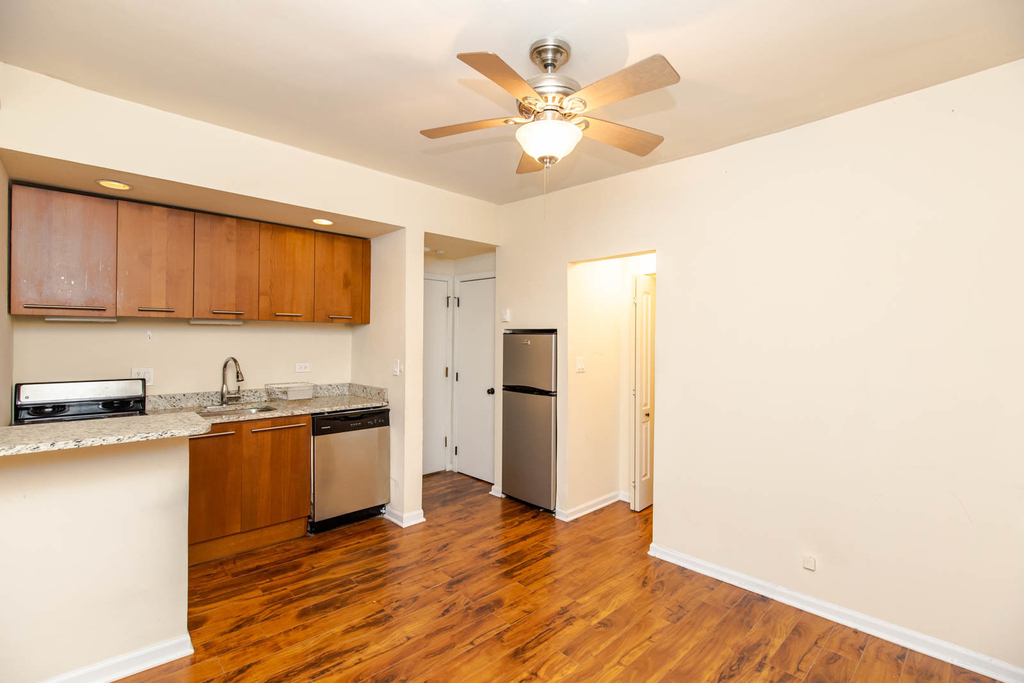 1430 N Dearborn Street - Photo 1