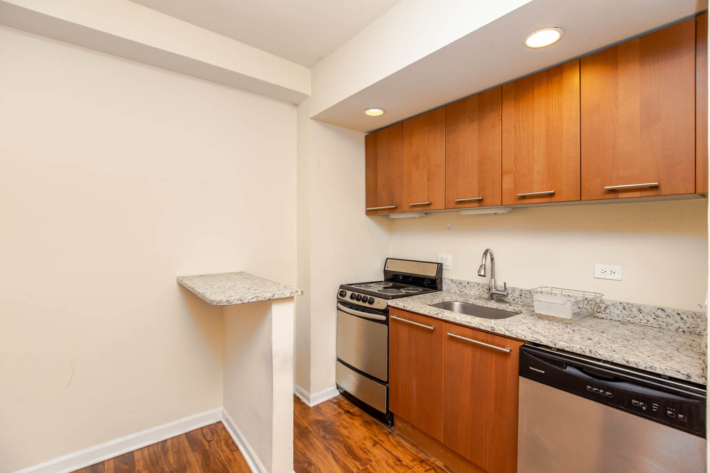 1430 N Dearborn Street - Photo 4