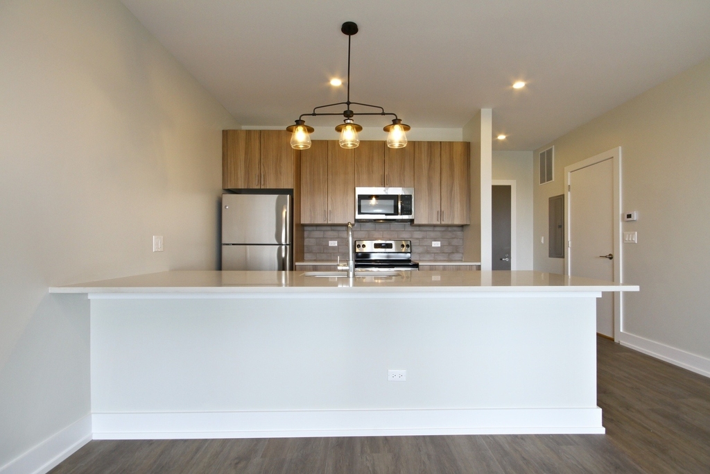2111 S Halsted Street - Photo 4