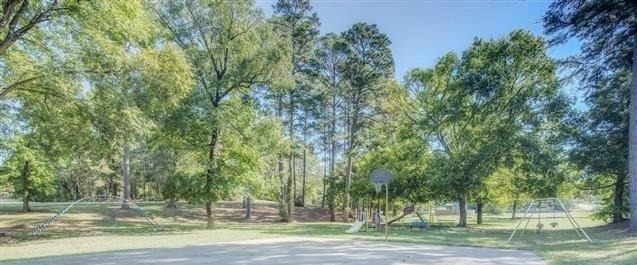 217 Cherry Tree - Photo 42