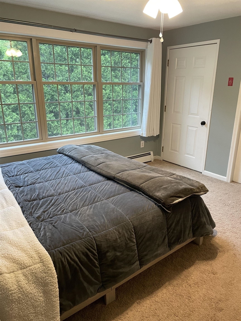 52 Woodland Green - Photo 10