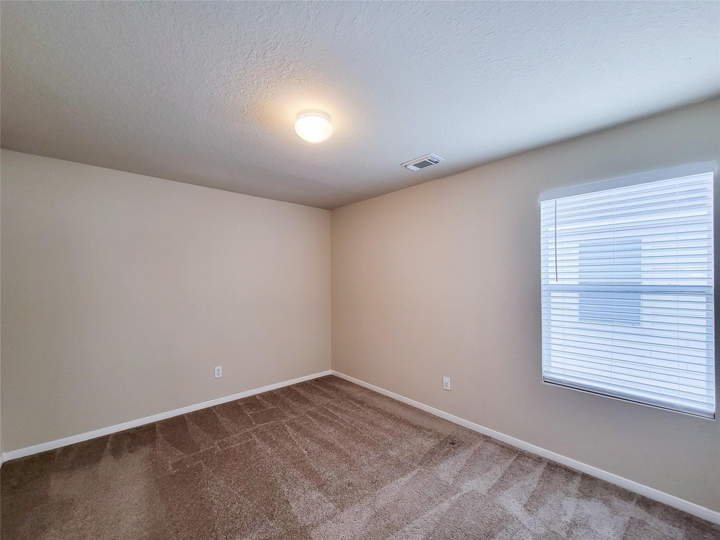 19338 Harvest Stream Way - Photo 38