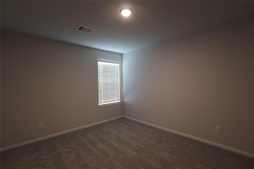 8371 Bristlecone Pine Way - Photo 13
