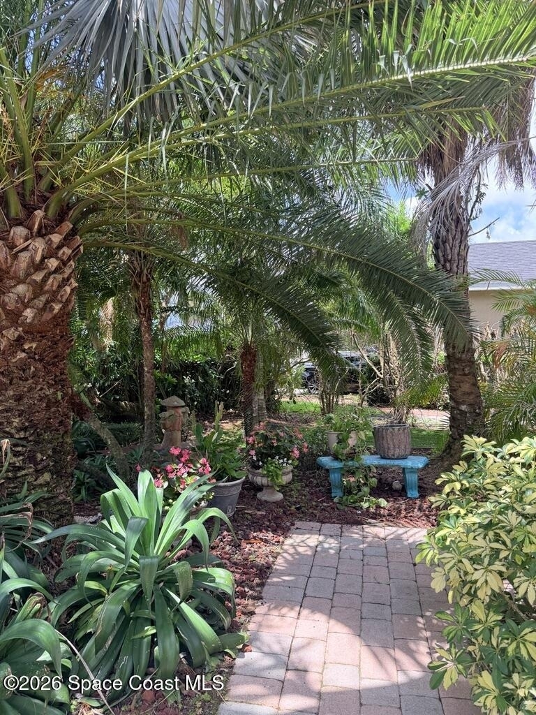 3220 Recco Place - Photo 5