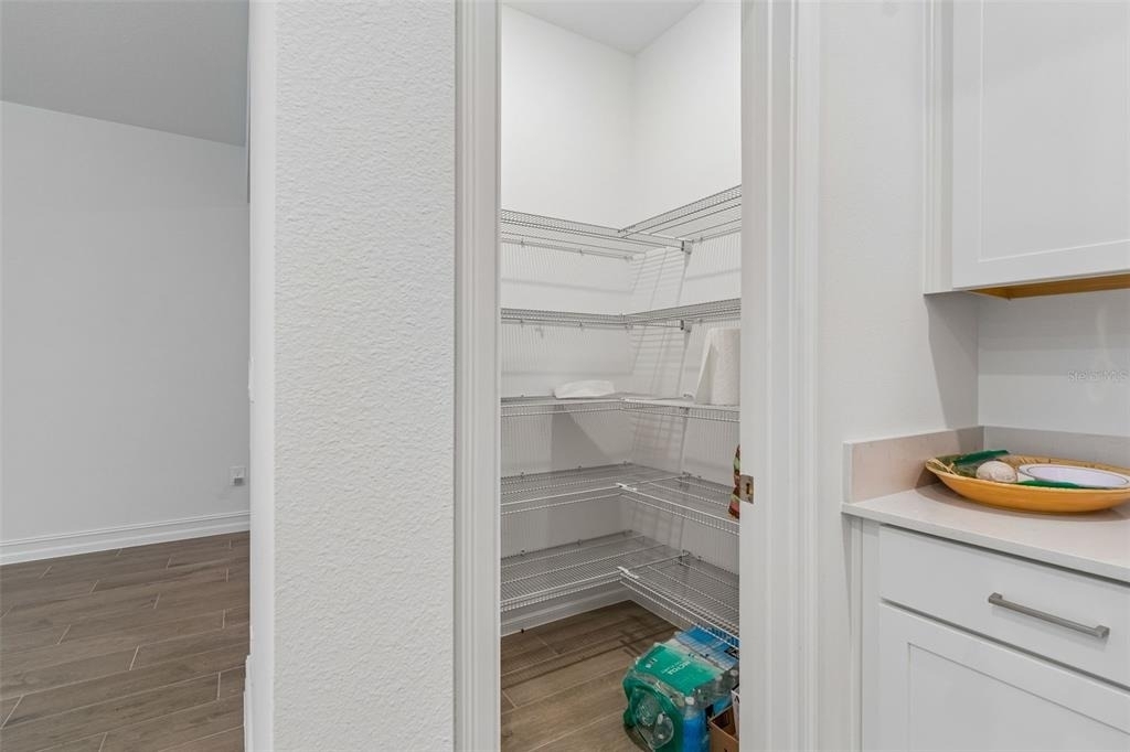 18542 Serene Lake Loop - Photo 30