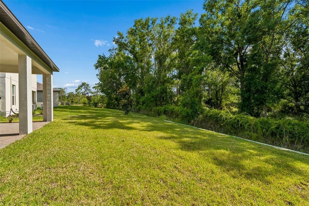 18542 Serene Lake Loop - Photo 52