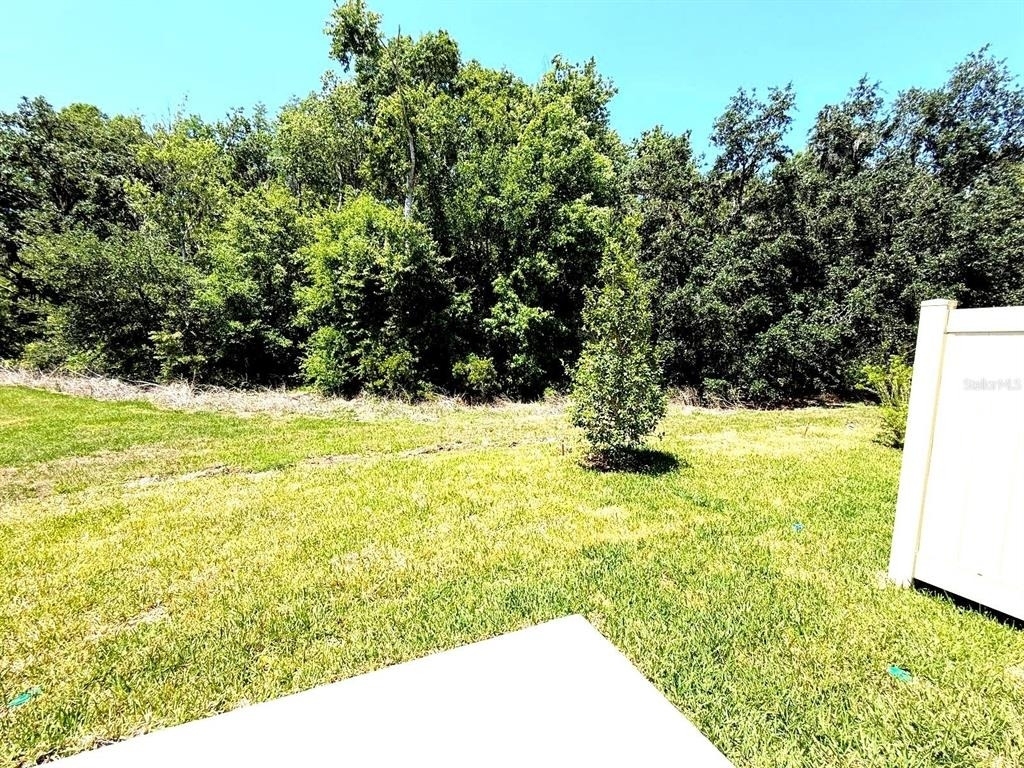 2081 Hallier Cove - Photo 18