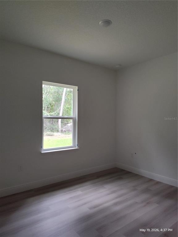 11128 Easter Terrace - Photo 5