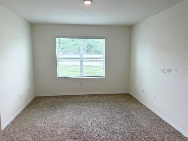 709 Versailles Lane - Photo 12