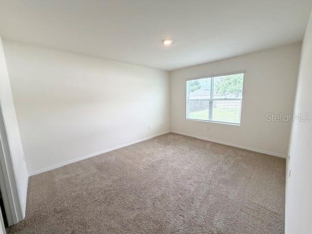 709 Versailles Lane - Photo 5