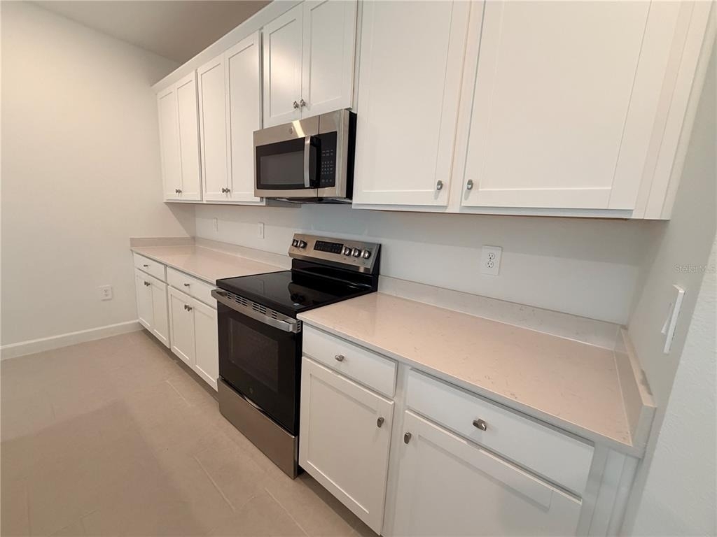 3917 Passion Vine Dr - Photo 4