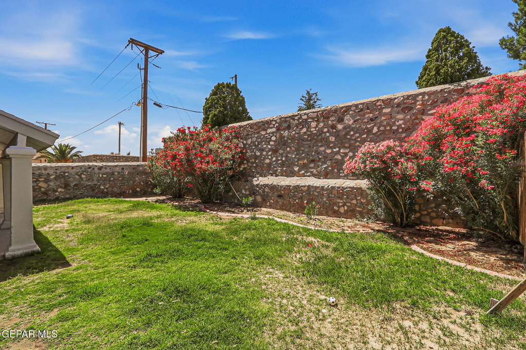 7239 Desert Jewel Drive - Photo 41