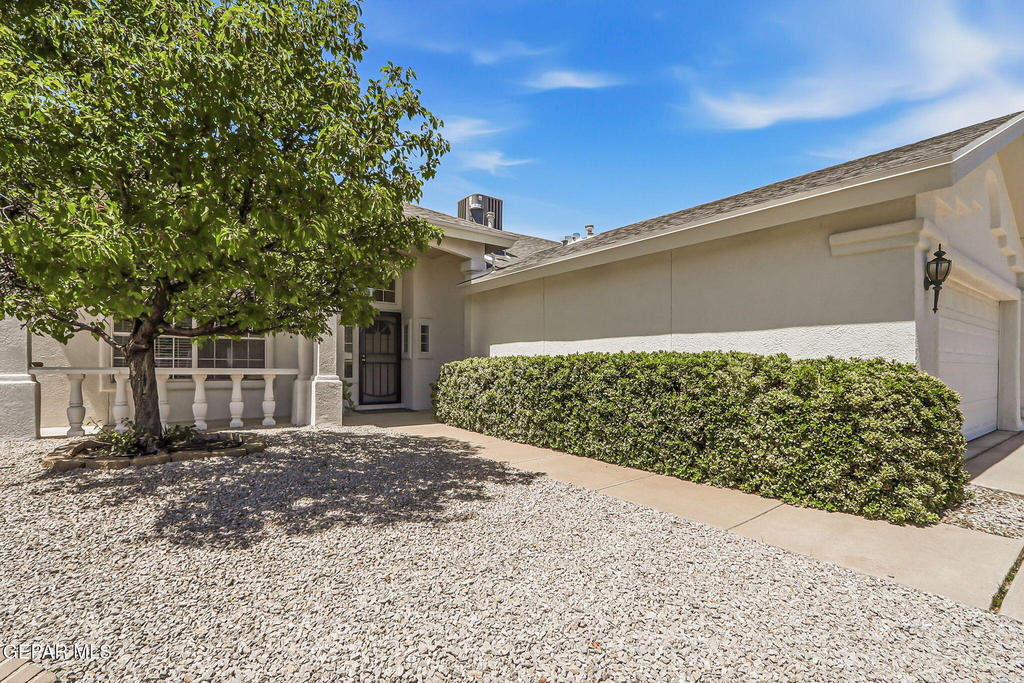 7239 Desert Jewel Drive - Photo 3