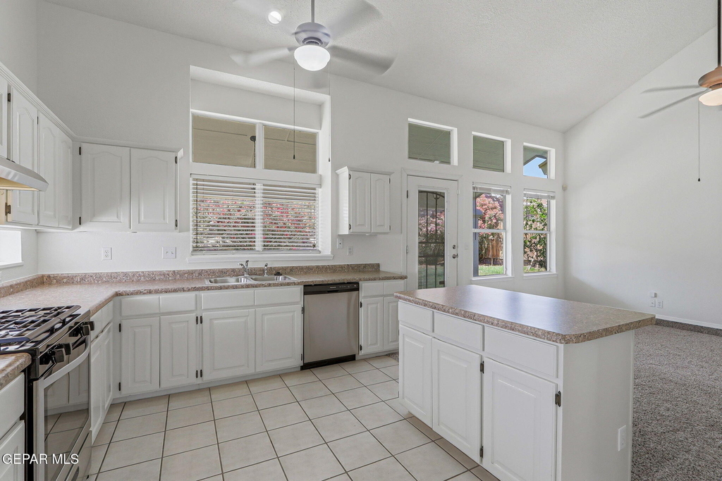 7239 Desert Jewel Drive - Photo 10