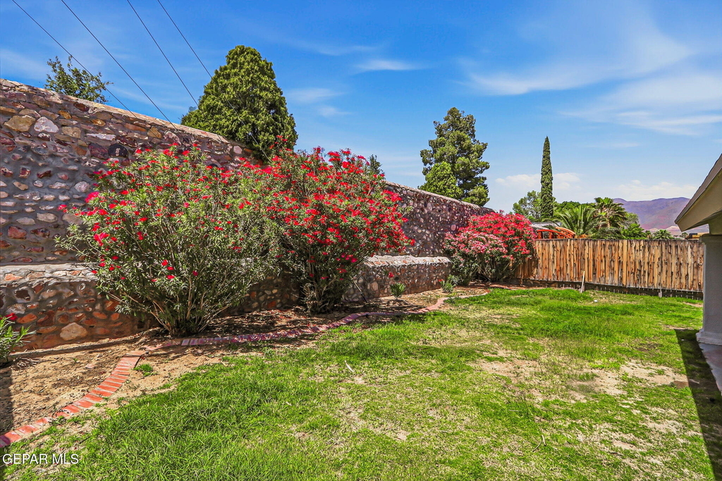 7239 Desert Jewel Drive - Photo 44