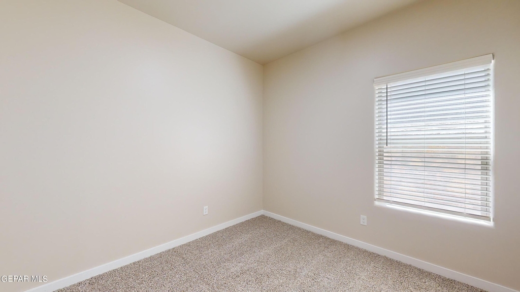 11118 Blue Eyed Grass Street - Photo 29
