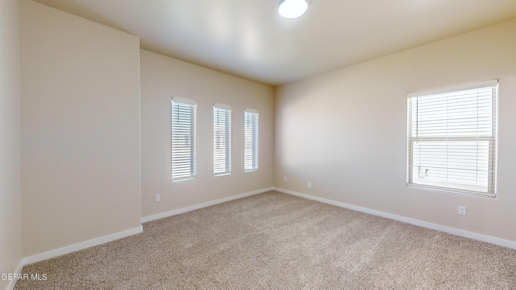 11118 Blue Eyed Grass Street - Photo 17