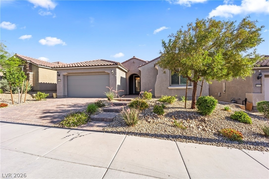 10456 Skye Arroyo Avenue - Photo 2