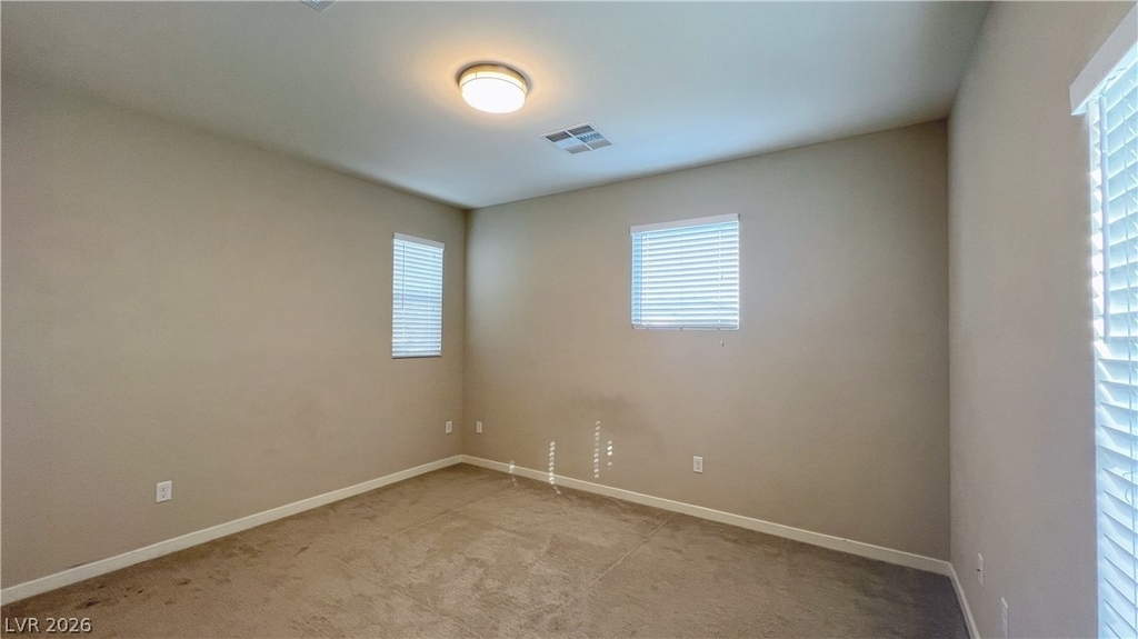 8247 Aster Meadow Way - Photo 29