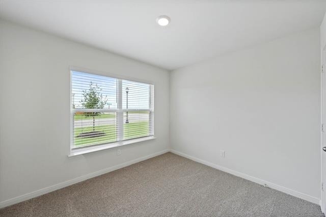 13429 Hang Fire Lane - Photo 10