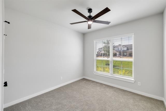 4027 Clovis Street - Photo 10