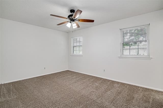 207 Stefanie Street - Photo 13