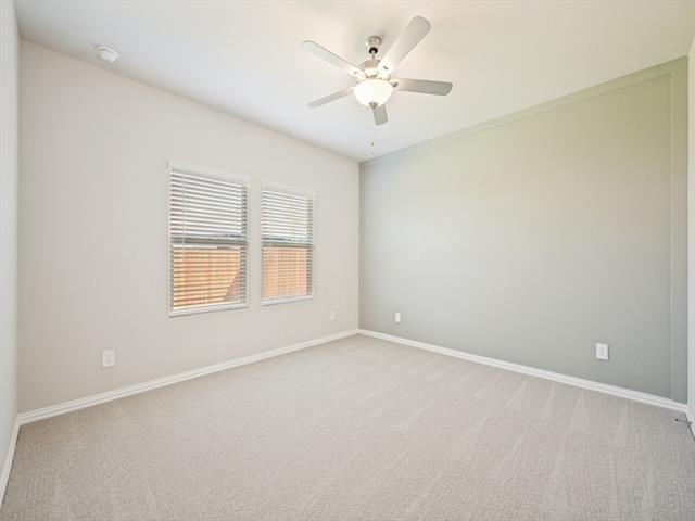 715 Dotty Drive - Photo 16