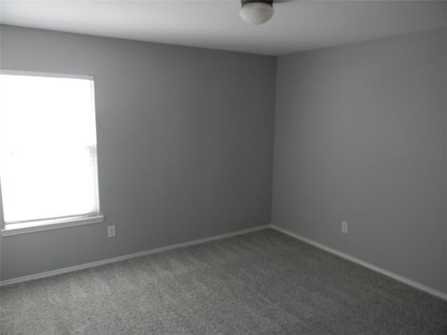 4636 Mountain Oak Street - Photo 16