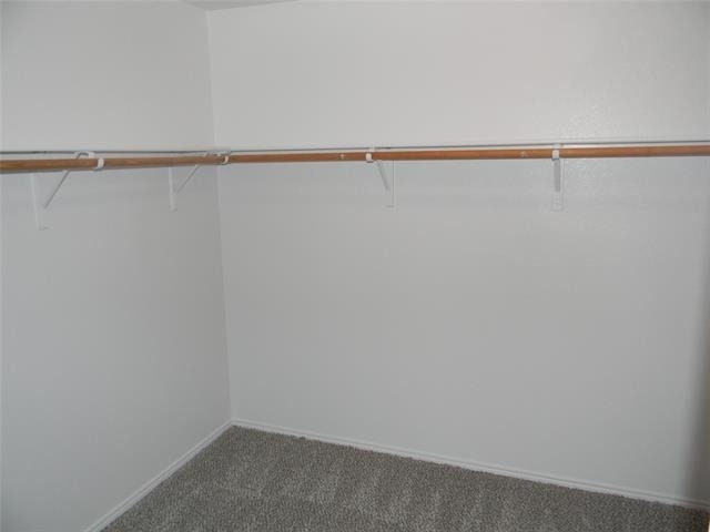 4636 Mountain Oak Street - Photo 15