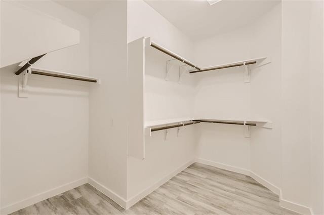 2404 Freshwater Lane - Photo 6