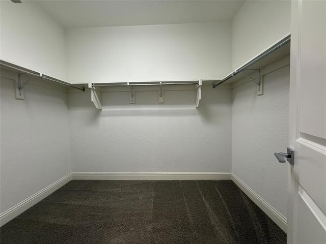2104 Hubbard Park Lane - Photo 15