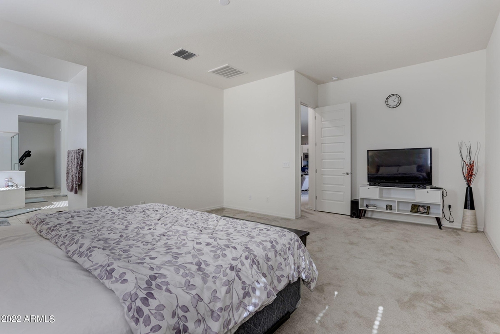 22533 N 93rd Drive - Photo 11