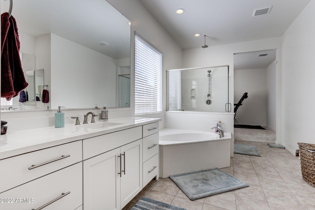 22533 N 93rd Drive - Photo 13