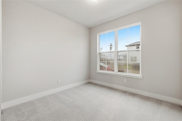 7281 Confetti Lane - Photo 4