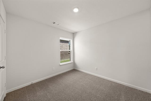 13429 Gitty Up Circle - Photo 9