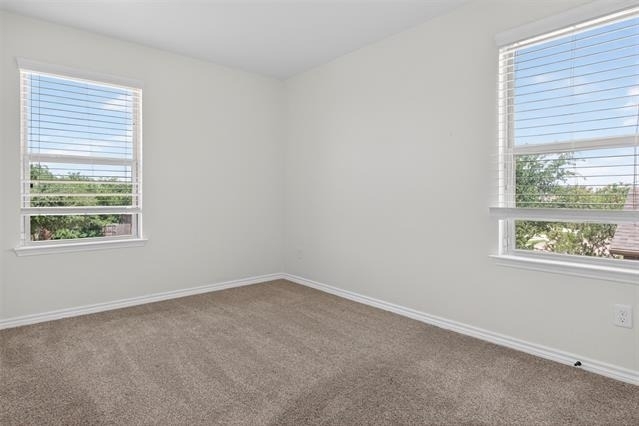 8728 Maple Ridge Trail - Photo 31