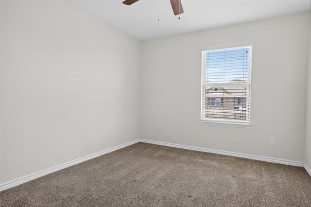 8728 Maple Ridge Trail - Photo 33