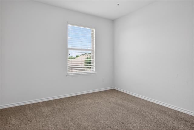 8728 Maple Ridge Trail - Photo 34