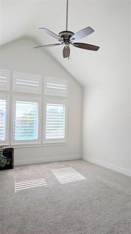 8933 Frostweed Road - Photo 20