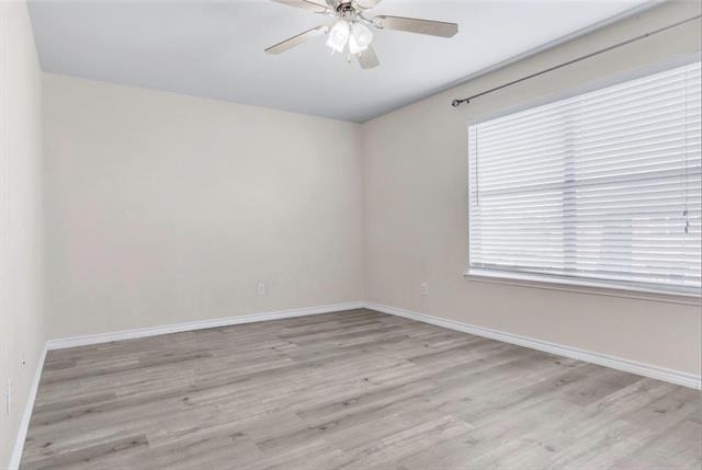 1905 Corriander Trail - Photo 13
