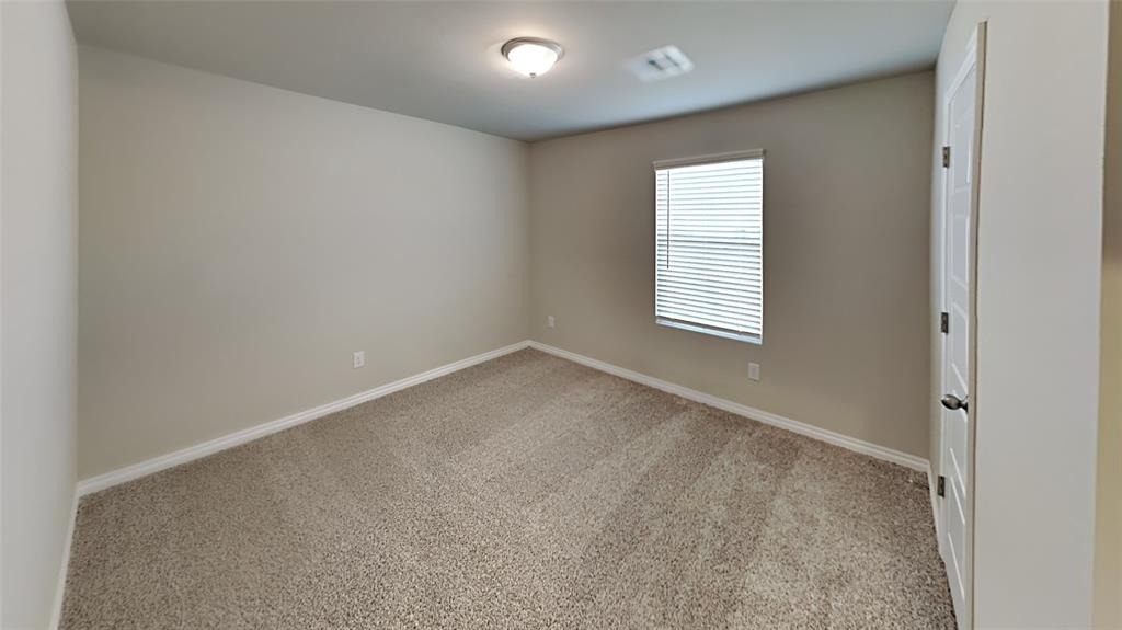 4412 Palmetto Bluff Drive - Photo 10