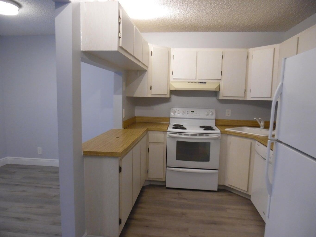 502 Shady Pine Way - Photo 8