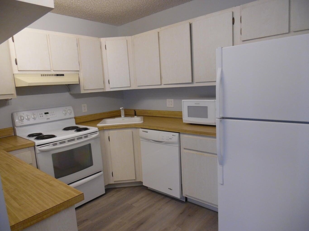502 Shady Pine Way - Photo 7