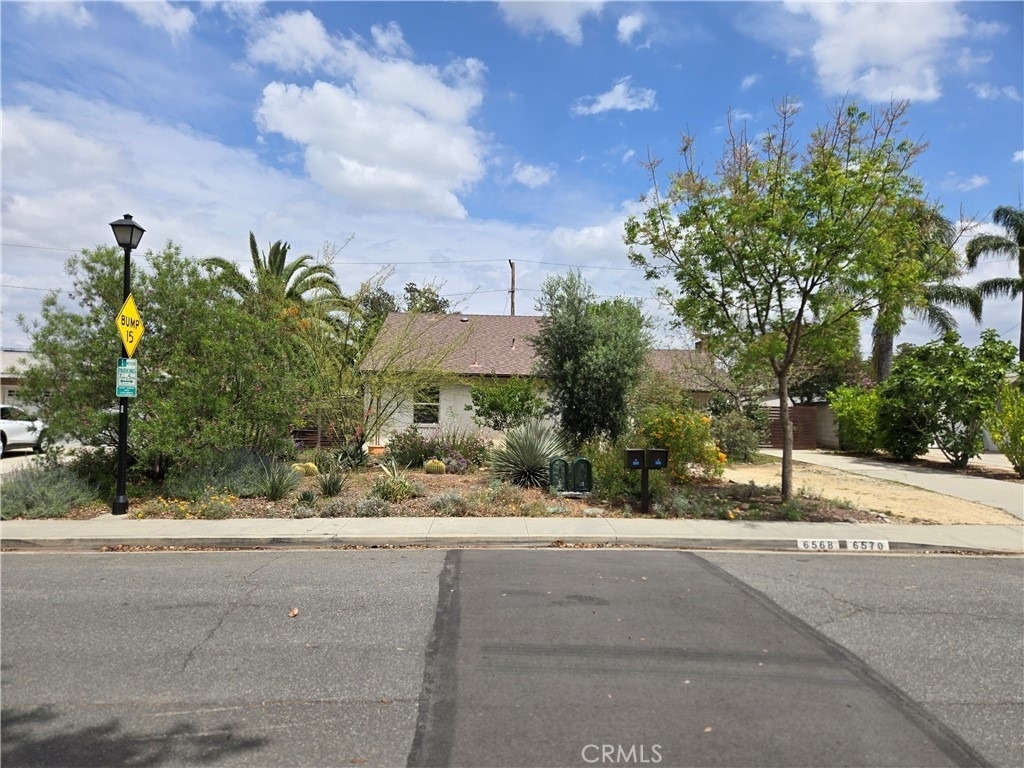 6568 Mount Diablo - Photo 0