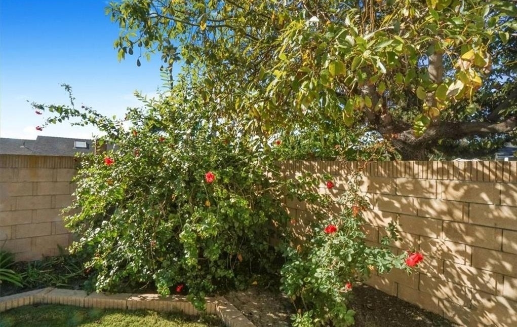 24121 El Tiradore Circle - Photo 10