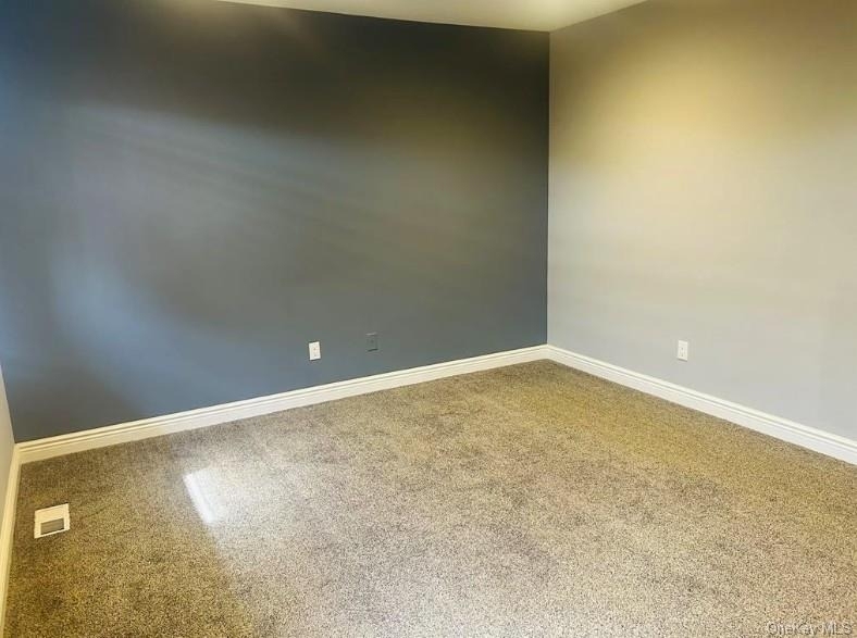113 Alicia Drive - Photo 14