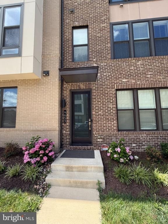 4653 Charger Place - Photo 2