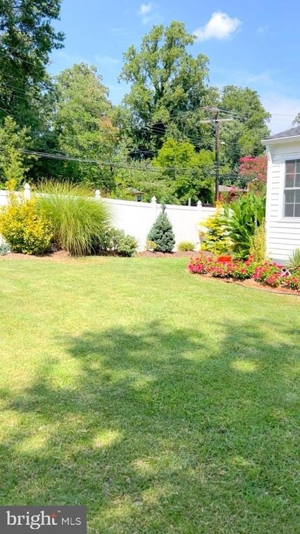 9006 Linton Street - Photo 11