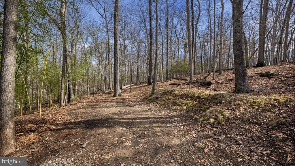 11450 Game Preserve Road - Photo 44